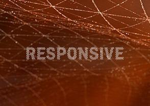 responsive_preview